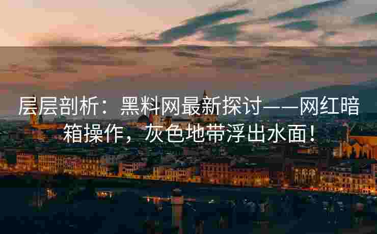 层层剖析:黑料网最新探讨——网红暗箱操作,灰色地带浮出水面!